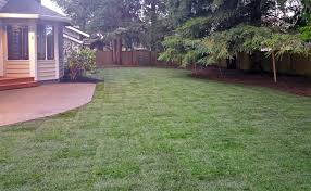 Top up nutrients by feeding. Sod Installation In Olympia Ajb Landscaping Fence