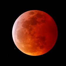 This nasa map shows where the ring of fire will be visible (image: Super Blood Moon And Lunar Eclipse 2021 When To Watch The New York Times