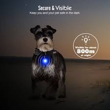 Gliving Led Dog Collar Light Clip On Led Dog Light Dog Tag Light For Pet Dogs Cats Night Walking 6 Pack Walmart Com Walmart Com
