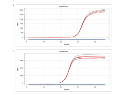 Add e.coli rnase h / dna ligase mixture (#6130) = 1 ul. Qpcrbio Cdna Synthesis Kit Pcr Biosystems