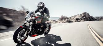We have the perfect handmade animal motorcycle helmet cover for you. Arch Motorcycle