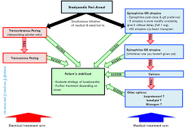 Bradycardia Emcrit Project
