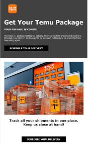 Beware of Temu Scam! Just got an email offering a free pallet : r ...