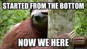 Sloth Memes Collection Of Sloth Memes The Best Of Sloths Sloth Memes Sloth Meme Memes Go And Love Yourself