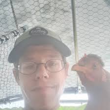 Can we feed our chickens the same feed we use for our pigs? We make it  ourself!