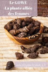 Epingle Sur Antibiotiques Naturels