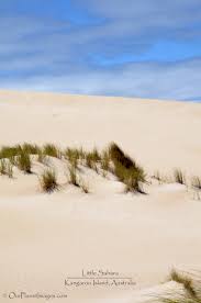 After the lake receded, the southwesterly winds that. Little Sahara Kangaroo Island Australia