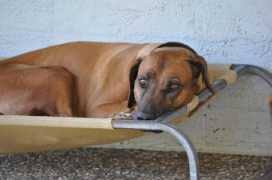 Raja zainal is a member of vimeo, the home for high quality videos and the people who love them. Zarina Family Name