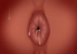 Beastman Forced to Lick the Hole of a Mature Woman Futa Manga by Kuraren Su  (12) | Futapo!