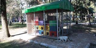 cat house kedi evi panosundaki pin