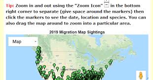 Spring 2019 Hummingbird Migration