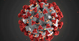 Fever, cough, and loss of smell. Covid 19 May Cause Loss Of Brain Tissue Delta Variant Fuels Steep Infection Rise In England Reuters