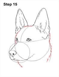 Visit www.how2drawanimals.com where every step is broken down to an individual image for an even easier tutorial and. How To Draw A German Shepherd Video Step By Step Pictures