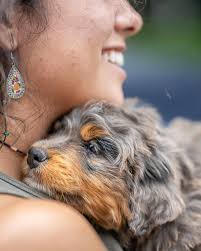 One year with Nick Rae. Nick Rae is many things. He is kind, patient,  forgiving, considerate, detail oriented, loving, and humble. He is an  adventurer, fellow foodie, incredible photographer, athlete, dedicated  worker,