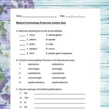 Medical Terminology Endocrine System Quiz With Answer Key Nursing School Store Medical Terminology Endocrine System Endocrine