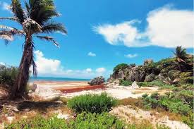 We would like to show you a description here but the site won't allow us. 25 Incredible Spring Break Destinations For Families For 2021