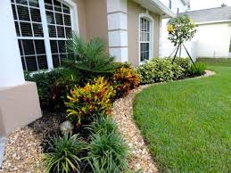 Image Result For Croton Plant Front Yard Landscaping Design Front Yard Landscaping Backyard Landscaping Designs