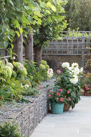 Spires, plumes, daisies, buttons, globes, umbels, and screens. How To Save Money On Garden Design The Middle Sized Garden Gardening Blog