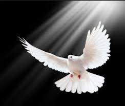 (respuesta) y enciende en ellos el fuego de tu amor. Espiritu Santo Oracion Para Pedir Ayuda En Desesperados Problemas Y Necesidades Enlace Catolico Info