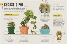 Unearth the secrets of different cacti and succulents, with profiles on more than 50. Amazon It Happy Cactus Choose It Love It Let It Thrive Pilbeam John Libri In Altre Lingue