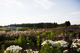 U pick flowers traverse city. The Secret Garden Secret Garden At Brys Estate