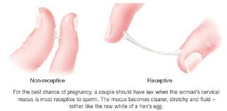 And it is impossible to get pregnant if there is no fresh. Fertility Week Timing Of Sex