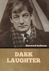Dark Laughter: Anderson, Sherwood: 9781636374130: Amazon.com: Books