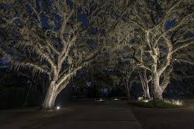 Lighting Large Trees Landscape Lighting Landscape Lighting Design Big Tree