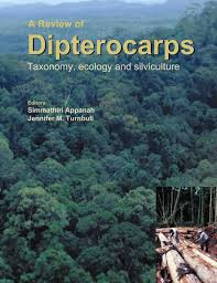 Image result for Marquesia macroura