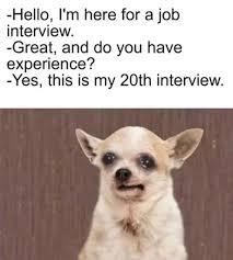 Hire Me Pls 9gag