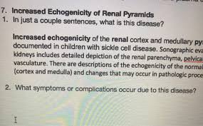 Hypertension associated with renal parenchymal disease occurs as a complication of a wide variety of glomerular and interstitial renal diseases and may accelerate the. Solved 7 Increased Echogenicity Of Renal Pyramids 1 In Chegg Com