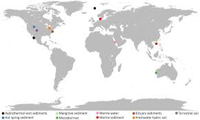 Fra wikipedia, den gratis encyklopædi. Asgard Archaea Wikipedia