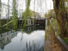 Image result for Cola greenwayi