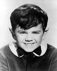 Pictured: Butch Patrick as Eddie Munster