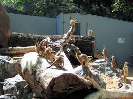 Zoologischer garten hof alte plauener strasse 40 95028 hof telefon: Zoo Hof Zoologische Garten Tiergehege Erlebnisregion Fichtelgebirge