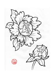 Peony flower tattoo outline / men rarely choose to get only a flower japanese style full sleeve tattoo with peonies. Peonies 2 By Laranj4 On Deviantart Peony Drawing Peonies Tattoo Japanese Peony Tattoo