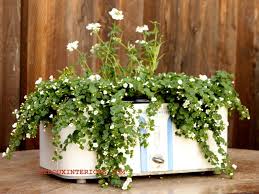 Check spelling or type a new query. Trashy Tuesday Look What S Cookin Unusual Planter Planters Flower Pots