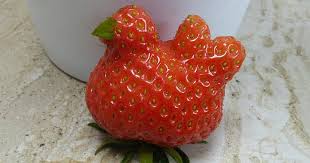Collection by dreamstime stock photos. Bored Panda On Twitter 22 Unusually Shaped Fruits And Vegetables That Look Like Something Else 22 Pics Http T Co Egowywicjk Http T Co Yeksjzqid0