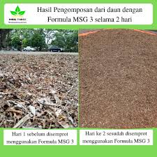 Hal ini kemudian akan mengakibatkan daun mengalami pembusukan. Cara Membuat Pupuk Kompos Dari Sampah Organik Sampah Rumah