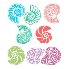 Shells Pack Cuttable Design Apex Embroidery Clip Art Borders Cricut Crafts