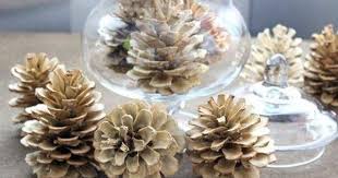 Comment Blanchir Des Pommes De Pin Bricolages Avec Des Pommes De Pin Pomme De Pin Noel Deco Pomme De Pin