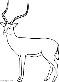Simply do online coloring for an old chevy cars coloring pages directly from your gadget, support for ipad, android tab or using our web feature. Impala Coloring Pages Coloringall