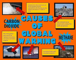 Make A Science Fair Project Poster Ideas Causes Of Global Warming Carbondioxide Climate Sci Global Warming Poster Global Warming Global Warming Project