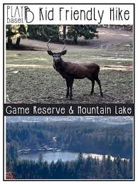 kid friendly hike to mountain lake and game reserve in black forest 30 min from basel game reserve mountain lake hiking
