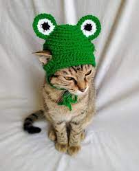 Frog Hat For Cat Frog Pet Costume Kitten Outfit Cat Accessories Gift For Cat Lover Kitty Harness Crochet Frog Cat Hat In 2021 Pet Costumes Cat Lover Gifts Cat Accessories
