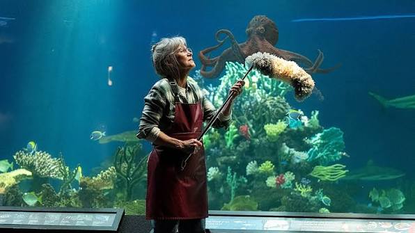 13 Movies and Shows Like Remarkably Bright Creatures to Boost Your Mood -  Netflix Tudum