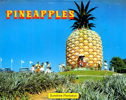Pin By Nicole Kuhnlein On My Childhood 70 S In Australia Big Pineapple Pineapple Pineapple Parties