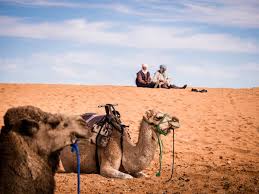 Identify your colour type correctly, form your wardrobe, find out what clothing suits you best and what should be avoided. How To Plan A Desert Trip To Merzouga And Fun Things To Do In The Desert In Morocco