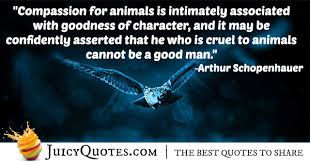 It is much easier to show compassion to animals. Compassion For Animals Quote With Picture