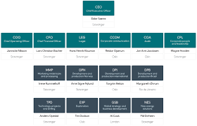 ceo coo cfo organizational chart bedowntowndaytona com